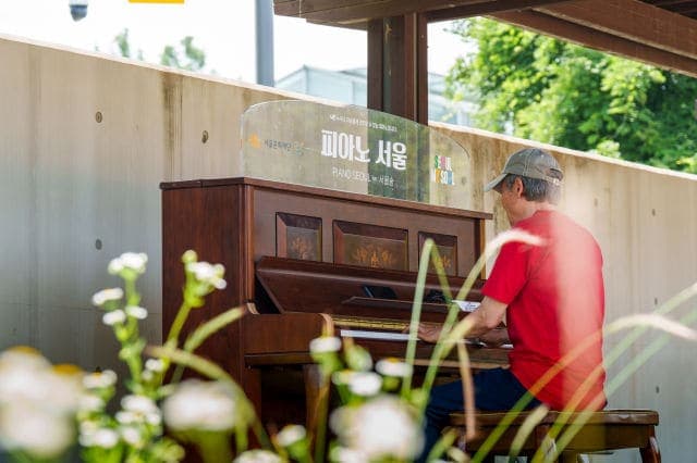 Photo of Piano Seoul — Seoul Forest at 뚝섬로, 성수동1가, 성수1가1동, 성동구, 서울특별시, 04773, 대한민국. A free outdoor Piano Seoul instrument in Seoul Forest's Experience Yard.…
