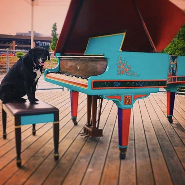 Public piano in Snohomish County, Washington, United States