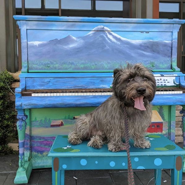 Public piano in Shoreline, Washington, United States
