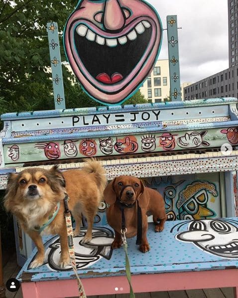 Public piano in Portland, Oregon, United States