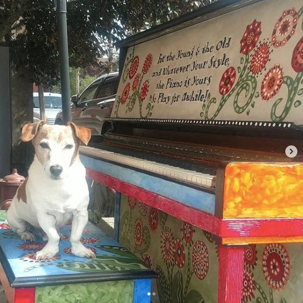 Public piano in Flathead County, Montana, United States