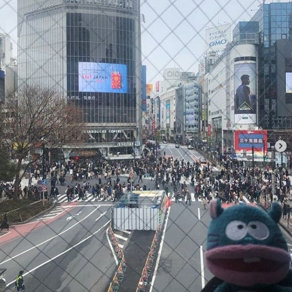 Photo of Shibuya Crossing, Tokyo 渋谷区 at Shibuya Station, B1F, Shibuya, Tokyo, 〒150-0042, Japan