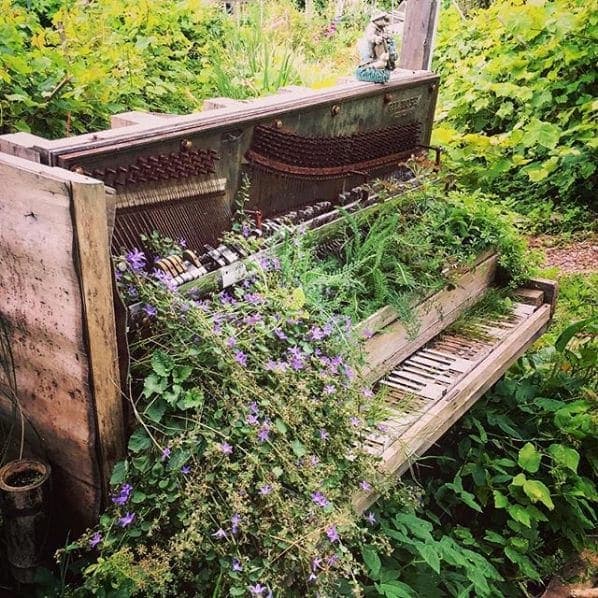 Photo of Strathcona Community Gardens at Chinese Freemasons Manor, 768, Prior Street, Strathcona, Vancouver, District of North Vancouver, Metro Vancouver Regional District,…