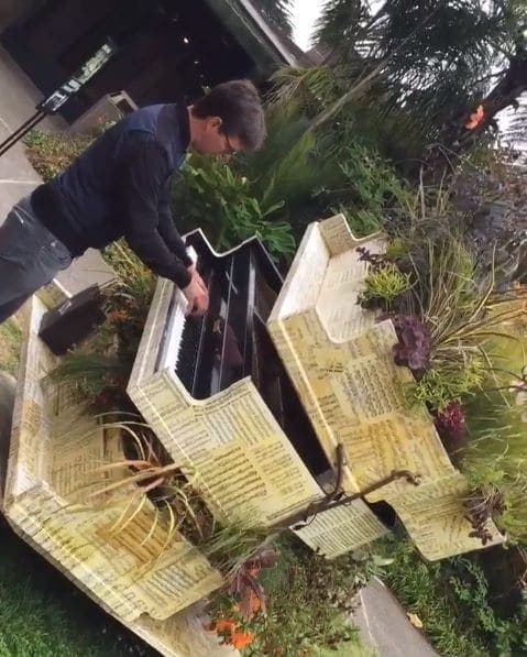 Photo of San Francisco Botanical Garden at San Francisco Botanical Garden, 1199, 9th Avenue, Inner Sunset, San Francisco, California, 94122, United States