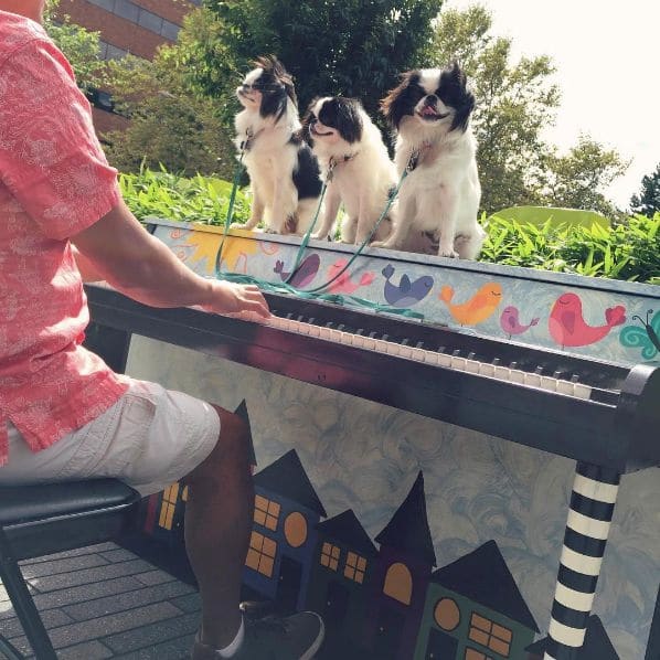 Public piano in Vancouver, Washington, United States