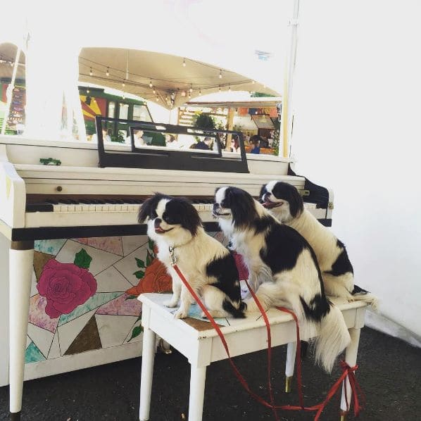 Public piano in Portland, Oregon, United States