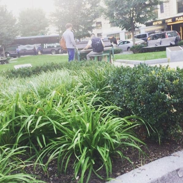Photo of Statler Park at Boston Park Plaza, 50, Park Plaza, Chinatown, Beacon Hill, Boston, Suffolk County, Massachusetts, 02116, United States
