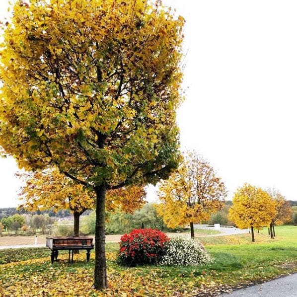 Public piano in Bezirk Hartberg-Fürstenfeld, Styria, Austria