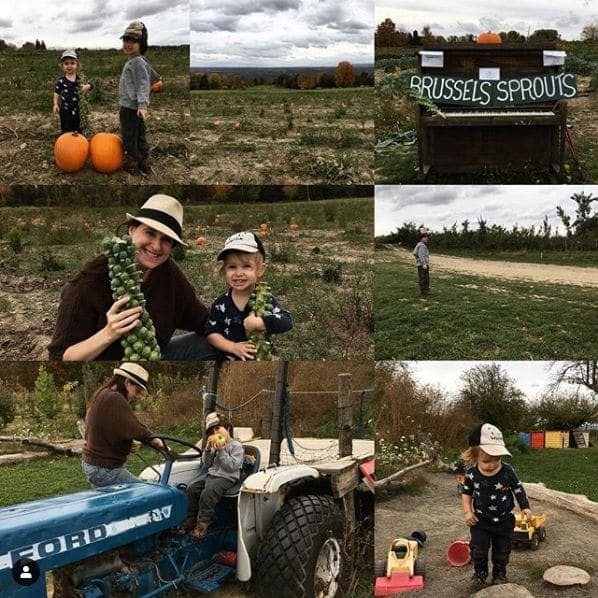 Photo of Indian Creek Farm at 1408, Trumansburg Road, Krum Corner, Ulysses Town, Tompkins County, New York, 14850, United States