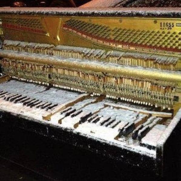 Photo of Big Wrench Piano Care at 262, Hoyt Street, Gowanus, Brooklyn, Kings County, New York, 11231, United States