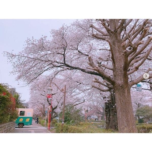 Photo of Tokyo, Japan at 郵便ポスト, Yaesu-dori Avenue, Ginza 1-chome, Kyobashi 1-chome, Chuo, Tokyo, 103-8238, Japan