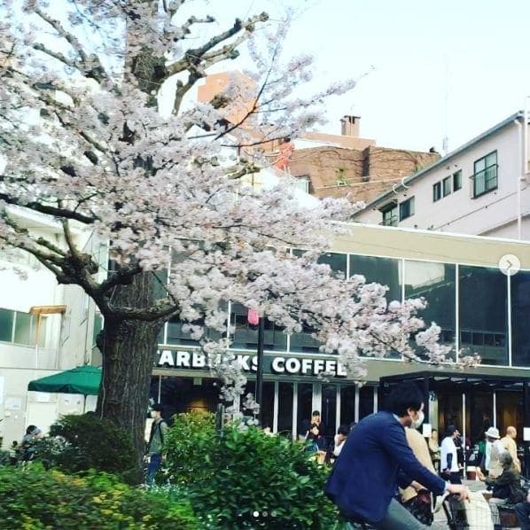 Photo of 大学通り at Saiwai-cho North Block 3, 大学通り, Saiwai Chō, Ōgi Machi, Takamatsu, Kagawa Prefecture, 760-0013, Japan