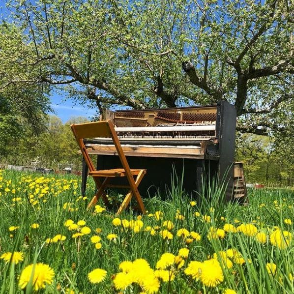 Public piano in Tompkins County, New York, United States