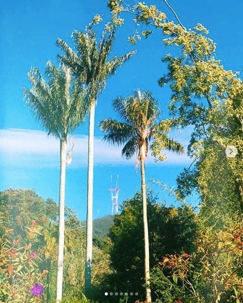 Photo of San Francisco Botanical Garden at San Francisco Botanical Garden, 1199, 9th Avenue, Inner Sunset, San Francisco, California, 94122, United States