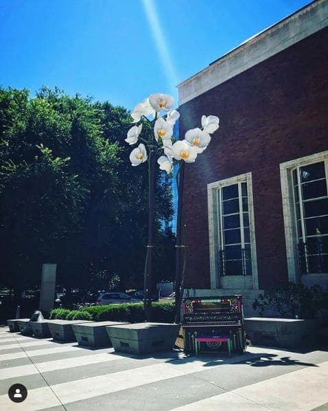 Photo of Portland, Oregon at Animals in Pools, Southwest Yamhill Street, Downtown, Portland, Multnomah County, Oregon, 97204, United States. Ray of light showing you the treasure…