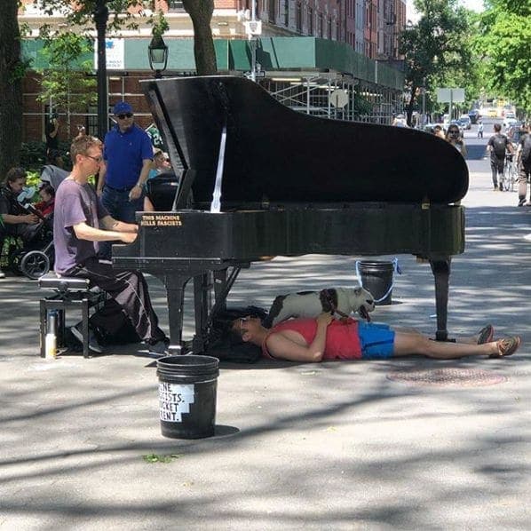 Photo of Washington Square Park at Washington Square Fountain, Washington Square South, Washington Square Village, Manhattan Community Board 2, Manhattan, New York County, New…