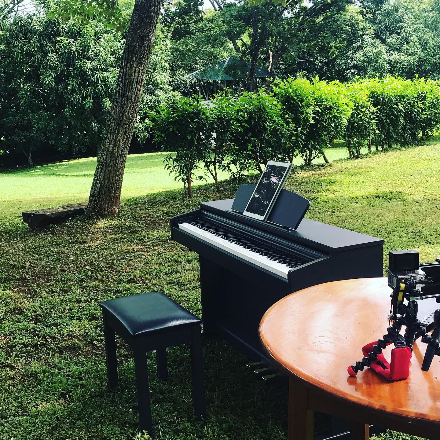 Public piano in Cantón Santa Cruz, Costa Rica