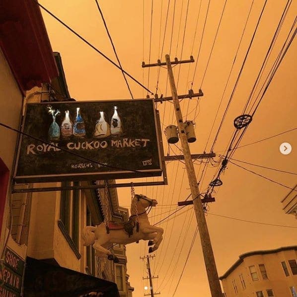 Photo of The Royal Cuckoo Market and Horsies Saloon at 3368;3370, 19th Street, Mission District, San Francisco, California, 94110, United States