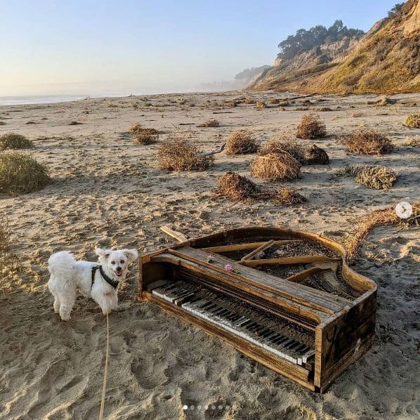 Public piano in Santa Cruz County, California, United States