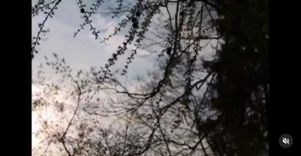 Photo of Luxembourg, Luxembourg at Unesco buffer zone, Boulevard Robert Schuman, Limpertsberg, Luxembourg, Canton Luxembourg, 2525, Luxembourg. old video published at the time…