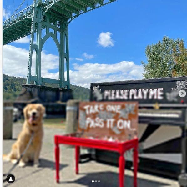 Photo of Cathedral Park at Cathedral Park Trail, Cathedral Park, Portland, Multnomah County, Oregon, 97203, United States