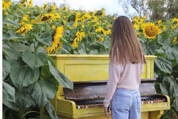 Public piano in East Riding of Yorkshire, England, United Kingdom