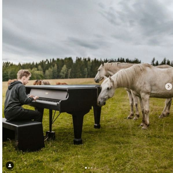 Public piano in Kłodzko County, Lower Silesian Voivodeship, Poland