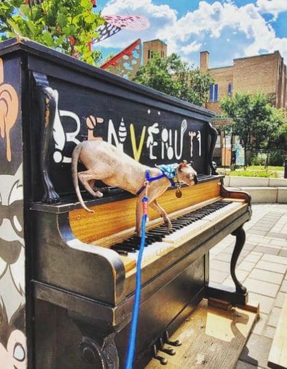 Public piano in Montreal, Quebec, Canada