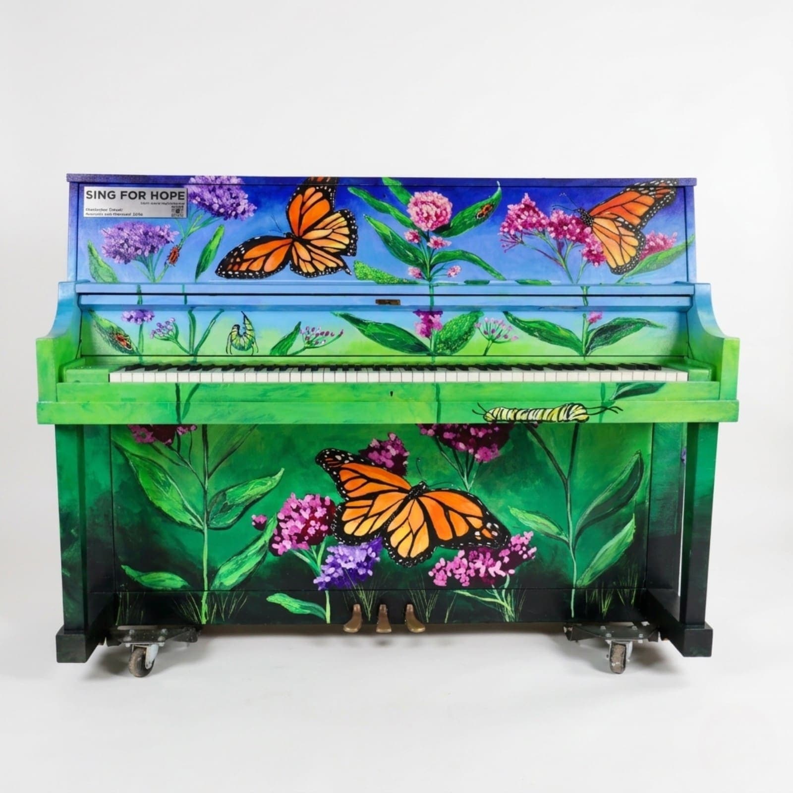 Photo of Bushwick Inlet Park — Monarchs and Milkweed at Bushwick Inlet Park, New York