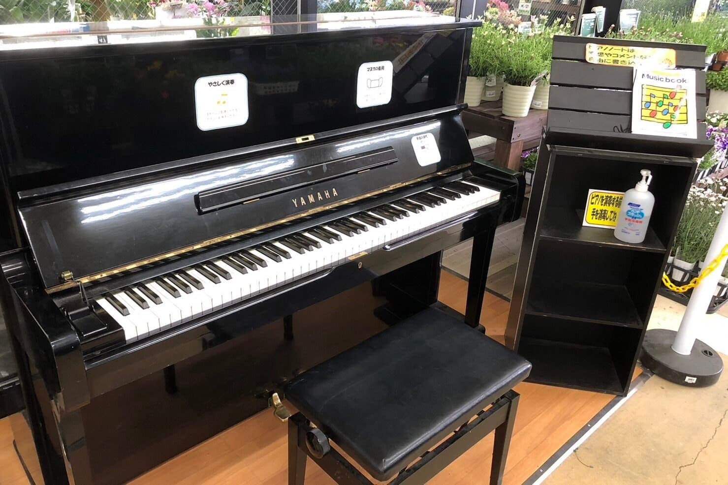 Photo of コーナン名谷店 at 〒655-0852 兵庫県神戸市垂水区名谷町字向井畑3487-2. Inside Kohnan Myodani store; temporarily relocated during remodeling;…