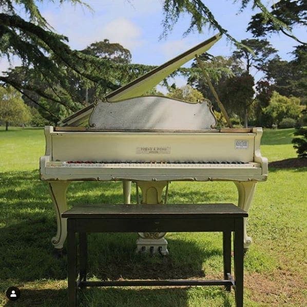 Photo of San Francisco Botanical Garden at San Francisco Botanical Garden, 1199, 9th Avenue, Inner Sunset, San Francisco, California, 94122, United States