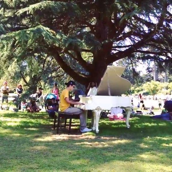 Photo of San Francisco Botanical Garden at San Francisco Botanical Garden, 1199, 9th Avenue, Inner Sunset, San Francisco, California, 94122, United States