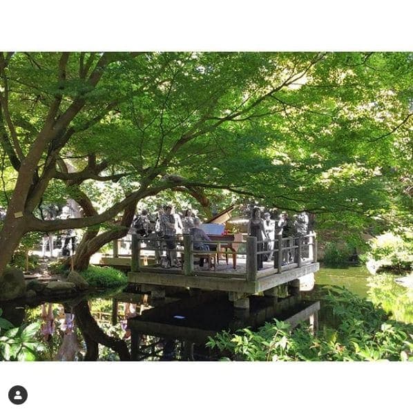 Photo of San Francisco Botanical Garden at San Francisco Botanical Garden, 1199, 9th Avenue, Inner Sunset, San Francisco, California, 94122, United States