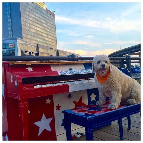 Public piano in Buffalo, New York, United States