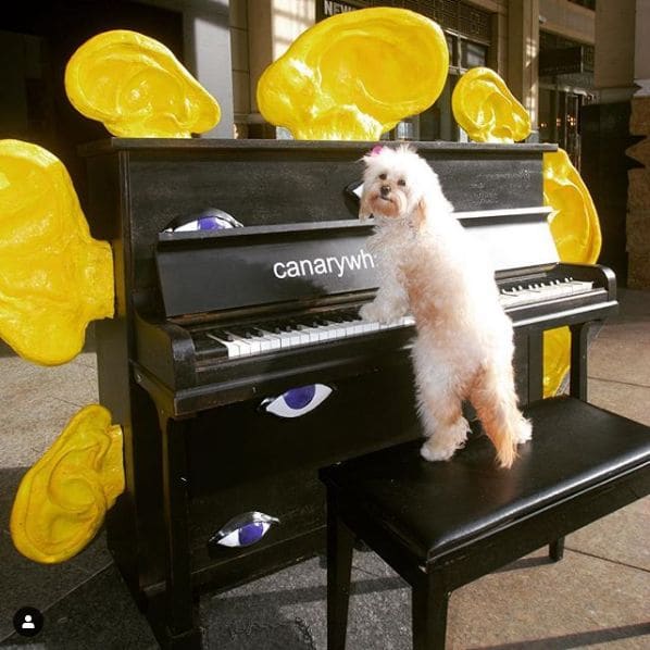 Public piano in London, England, United Kingdom