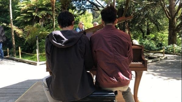 Photo of San Francisco Botanical Garden at San Francisco Botanical Garden, 1199, 9th Avenue, Inner Sunset, San Francisco, California, 94122, United States