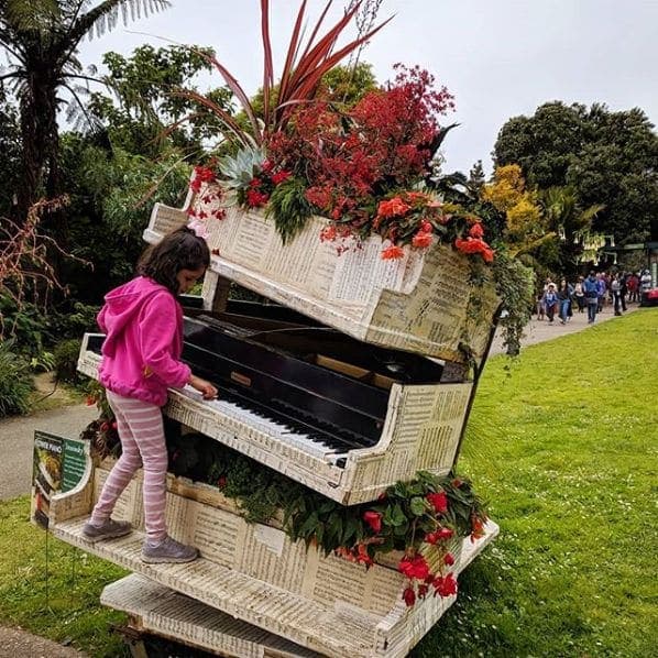 Photo of San Francisco Botanical Garden at San Francisco Botanical Garden, 1199, 9th Avenue, Inner Sunset, San Francisco, California, 94122, United States