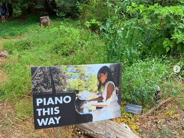 Photo of San Francisco Botanical Garden at San Francisco Botanical Garden, 1199, 9th Avenue, Inner Sunset, San Francisco, California, 94122, United States