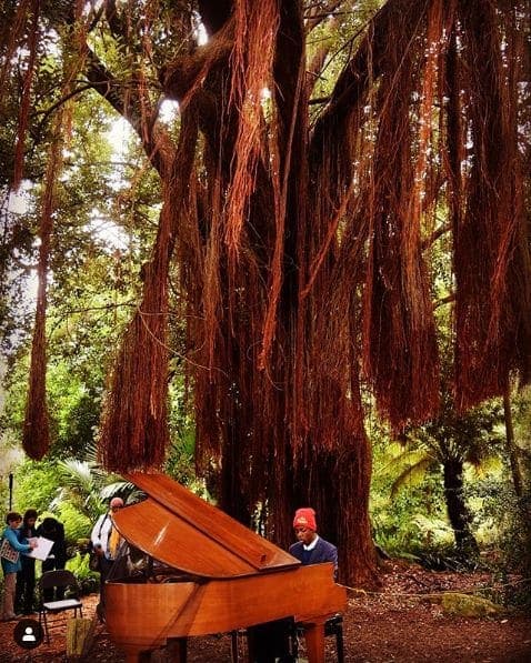Photo of San Francisco Botanical Garden at San Francisco Botanical Garden, 1199, 9th Avenue, Inner Sunset, San Francisco, California, 94122, United States. Today is the final day…