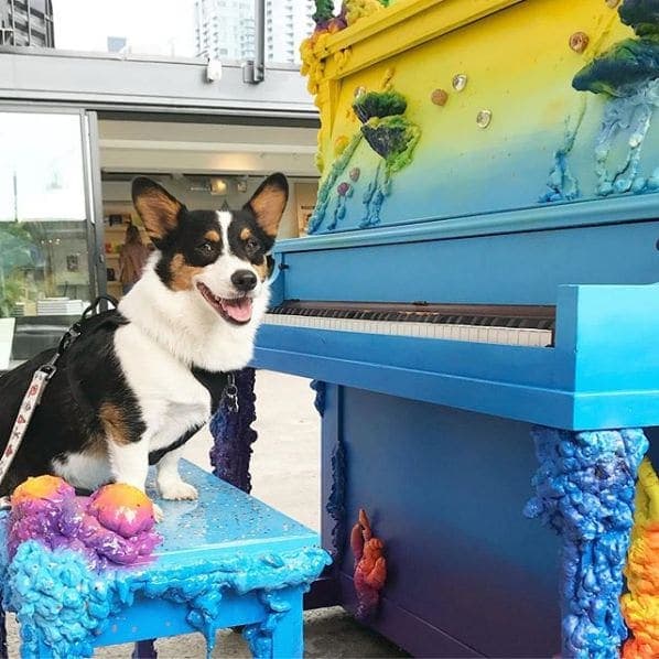 Photo of stackt at stackt, 28, Bathurst Street, King West, Spadina—Fort York, Old Toronto, Toronto, Golden Horseshoe, Ontario, M5V 2V5, Canada