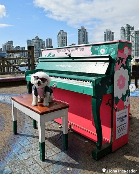 Photo of Spyglass Dock at Cambie Bridge, Cooperage Way, Yaletown, Downtown, Vancouver, District of North Vancouver, Metro Vancouver Regional District, British Columbia, V6Z, Canada