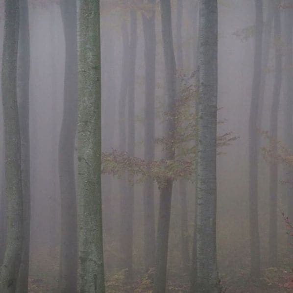 Photo of Špitálský Les at 1475/103, Rokycanská, Lobzy, Božkov, Plzeň, okres Plzeň-město, Plzeňský kraj, Southwest, 31200, Czechia