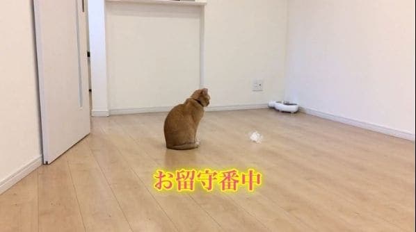 Photo of 神戸サウナ&スパ at Kobe Sauna & Spa, Ikuta-shinmichi, Shimoyamatedori 3-chome, Chuo Ward, Kobe, Hyogo Prefecture, 650-0011, Japan