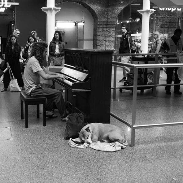 Photo of St Pancras International at St Pancras International Station, Euston Road, St Pancras, London Borough of Camden, London, Greater London, England, N1C 4QP, United Kingdom