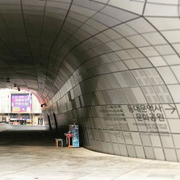 Photo of Dongdaemun History & Culture Park Station at Shadow of Shadow_Flower Blossom, Jangchungdan-ro, Dongdaemun Fashion Town, Gwanghui-dong, Jung-gu, Seoul, Nowon-gu, 04563,…