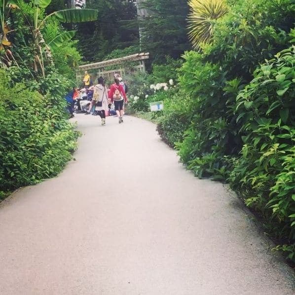 Photo of San Francisco Botanical Garden at San Francisco Botanical Garden, 1199, 9th Avenue, Inner Sunset, San Francisco, California, 94122, United States