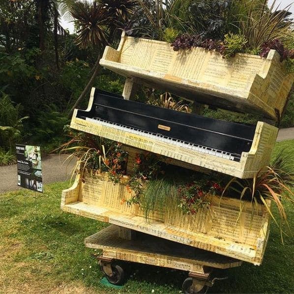 Photo of San Francisco Botanical Garden at San Francisco Botanical Garden, 1199, 9th Avenue, Inner Sunset, San Francisco, California, 94122, United States