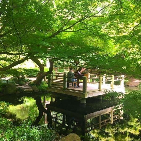 Photo of San Francisco Botanical Garden at San Francisco Botanical Garden, 1199, 9th Avenue, Inner Sunset, San Francisco, California, 94122, United States