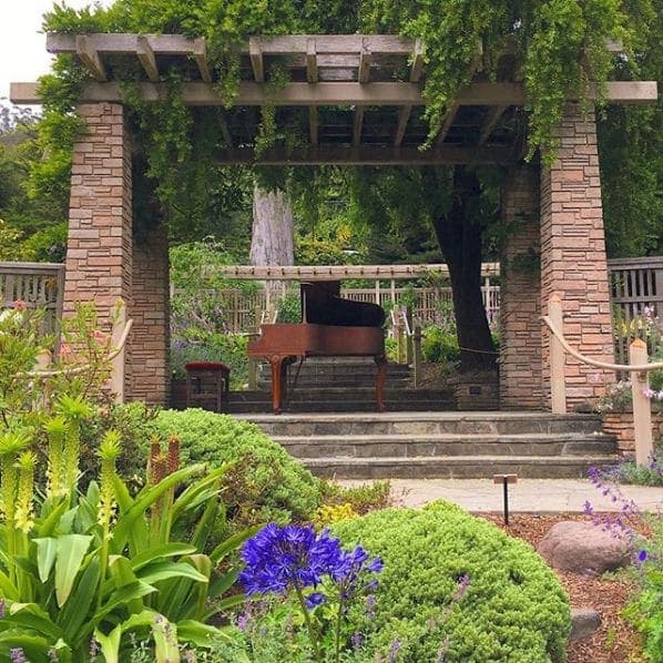 Photo of San Francisco Botanical Garden at San Francisco Botanical Garden, 1199, 9th Avenue, Inner Sunset, San Francisco, California, 94122, United States