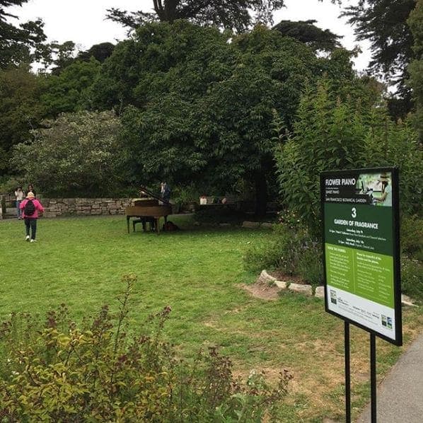 Photo of San Francisco Botanical Garden at San Francisco Botanical Garden, 1199, 9th Avenue, Inner Sunset, San Francisco, California, 94122, United States